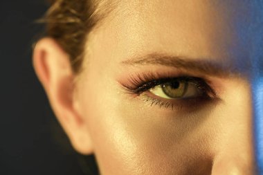 Şık makyajlı genç bayan, yakın plan.