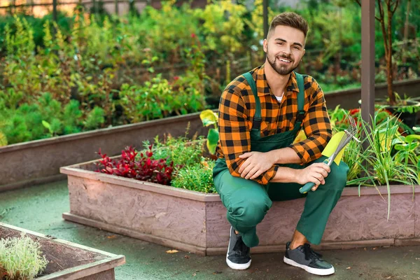 Jardinero masculino con herramientas en invernadero — Foto de Stock