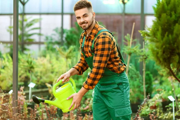 Guapo jardinero masculino trabajando en invernadero — Foto de Stock