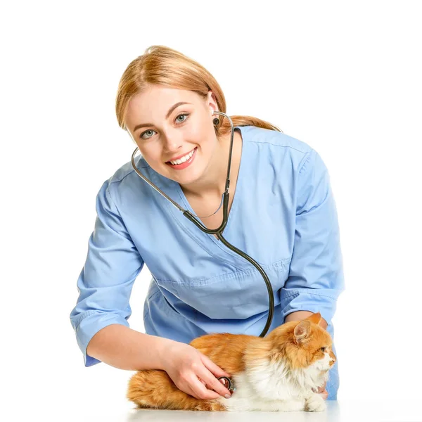 Veterinario femminile esaminando carino gatto su sfondo bianco — Foto Stock