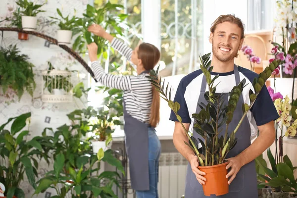 Portrait of male florist in shop — Stock Photo, Image