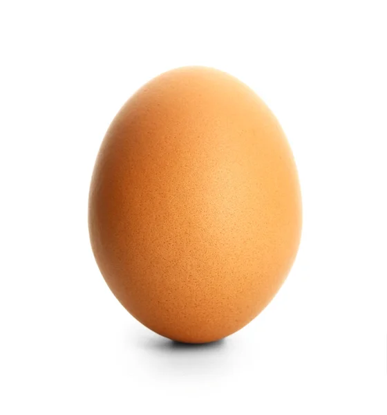 Uovo fresco su sfondo bianco — Foto Stock