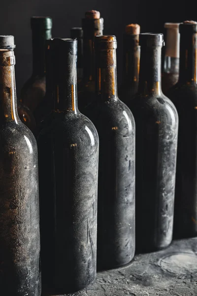 Many bottles of wine in cellar — Stock Photo, Image