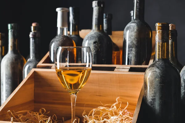 Бутылки и бокал вина в подвале — стоковое фото