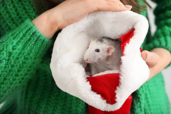 Young woman with cute rat in Santa Claus hat, closeup — Stock Photo, Image