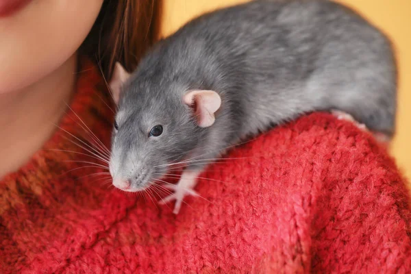 Ung kvinna med söt råtta på färg bakgrund, närbild — Stockfoto