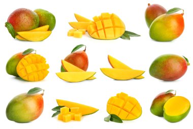 Beyaz arka planda lezzetli mango meyveli kolaj