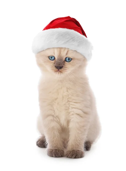 Roztomilé kotě v klobouku Santa Claus na bílém pozadí — Stock fotografie