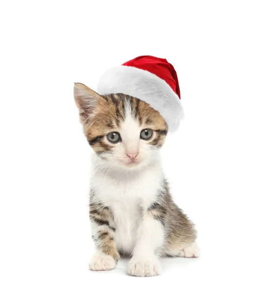 Cute kitten in Santa Claus hat on white background — Stock Photo, Image