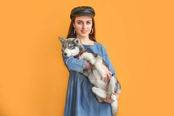 Stílusos nő vicces husky kiskutya a színes háttér — Stock Fotó
