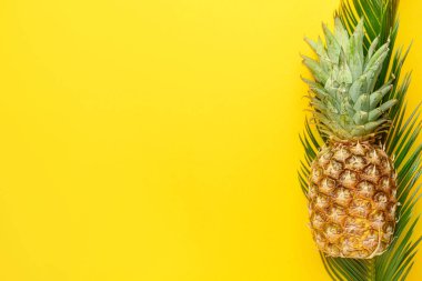 Renk arka plan üzerinde olgunlaşmış taze ananas