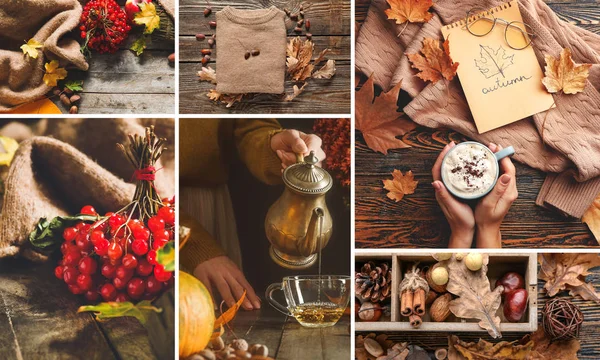 Colagem de fotos com diferentes composições de outono — Fotografia de Stock
