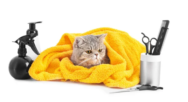 Niedliche Katze mit Handtuch und Pflegewerkzeug auf weißem Hintergrund — Stockfoto