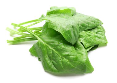 Beyaz arkaplanda taze ıspanak