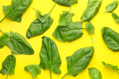 Renk arka planda taze ıspanak