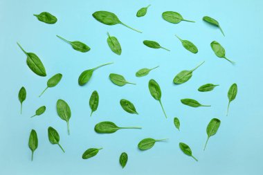 Renk arka planda taze ıspanak