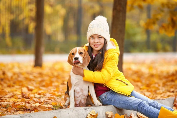 Little Asian girl with cute beagle dog in autumn park — Stock Photo, Image