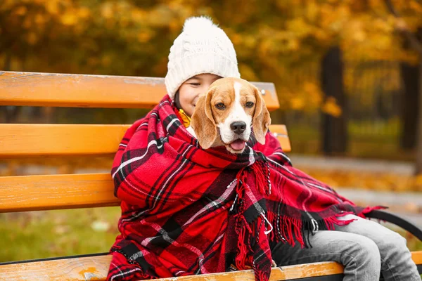 Little Asian girl with cute beagle dog sitting on bench in autumn park — Stock Photo, Image