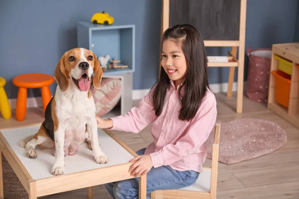 Menina asiática com cão beagle bonito em casa — Fotografia de Stock