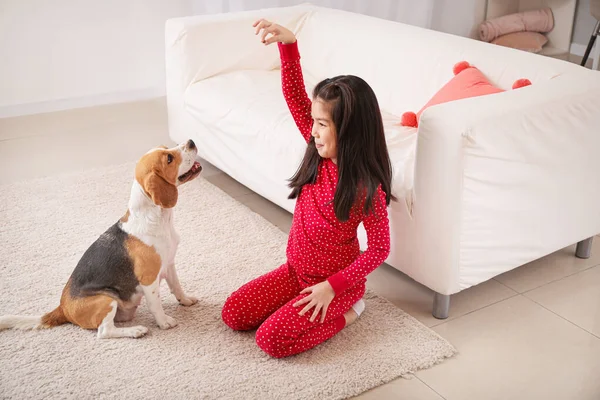 Little Asian girl playing with cute beagle dog at home — Stock Photo, Image