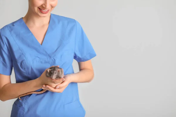 Kvinna veterinär med söt råtta på ljus bakgrund — Stockfoto