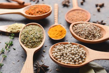 Koyu arka planda farklı baharatlı kaşıklar