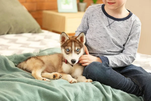 Menino com filhote de cachorro bonito no quarto — Fotografia de Stock