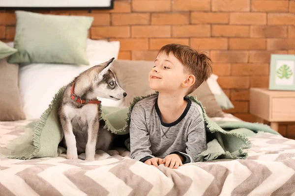 Petit garçon avec chiot husky mignon dans la chambre — Photo