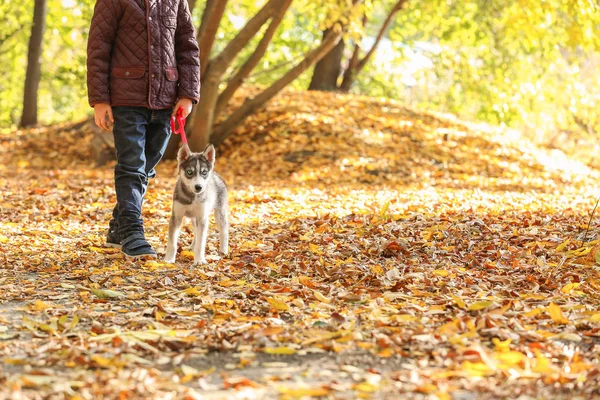 Маленький мальчик гулял с милой собакой в осеннем парке — стоковое фото
