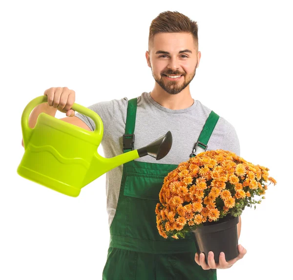 Guapo jardinero masculino con regadera y planta sobre fondo blanco — Foto de Stock