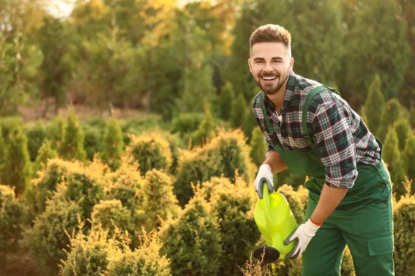 Guapo jardinero masculino trabajando al aire libre — Foto de Stock