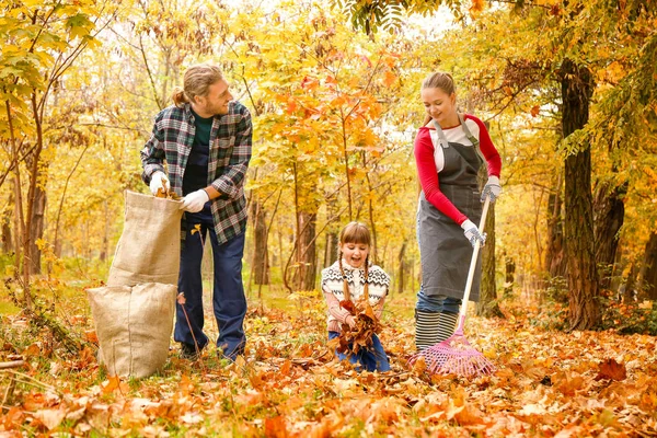 Family cleaning up autumn leaves outdoors — Stock Photo, Image