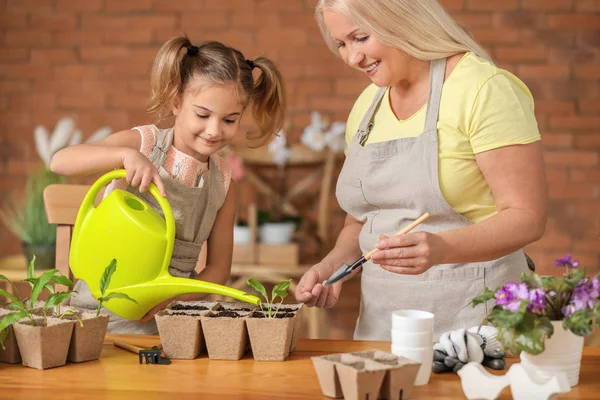 Cute little girl with grandmother setting out young plants in pots at home — Stock Photo, Image
