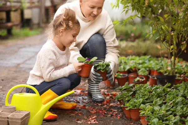 Cute little girl with grandmother working in greenhouse — Stock Photo, Image