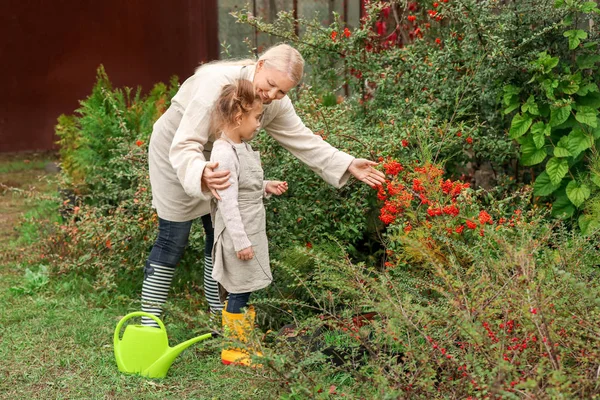 Cute little girl with grandmother working in garden — Stock Photo, Image