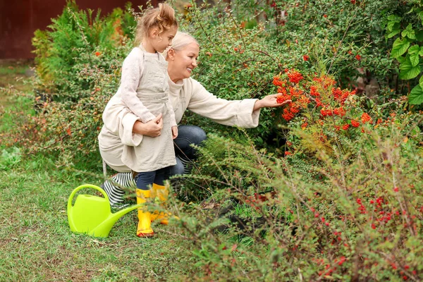 Cute little girl with grandmother working in garden — Stock Photo, Image