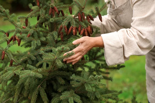 Volwassen vrouw die in de tuin werkt, close up — Stockfoto