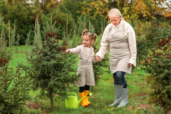 Cute little girl with grandmother working in garden — Stock Photo, Image