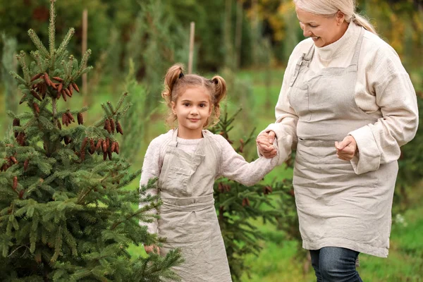 Cute little girl and grandmother in garden — Stock Photo, Image