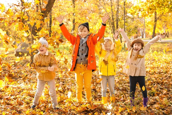 Sevimli küçük çocuk sonbahar parkta eğleniyor