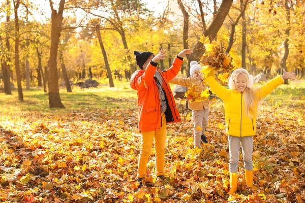 Lindos niños divirtiéndose en el parque de otoño —  Fotos de Stock