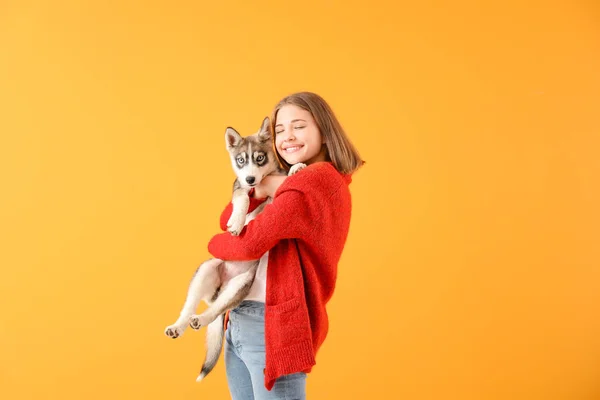 Cute teenage girl with funny husky puppy on color background — Stock Photo, Image