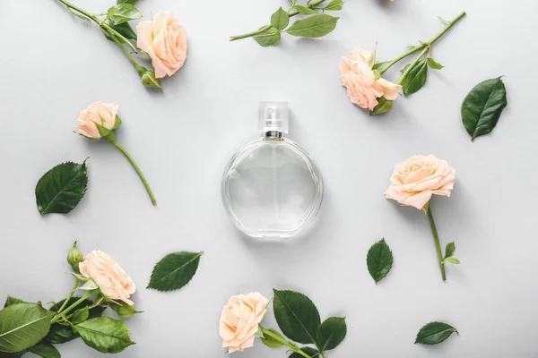 Bottle of perfume with rose flowers on white background — Stock Photo, Image