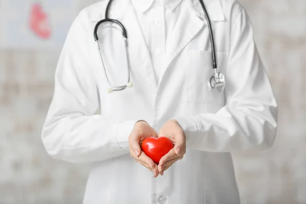 Female cardiologist with red heart on light background — Stock Photo, Image