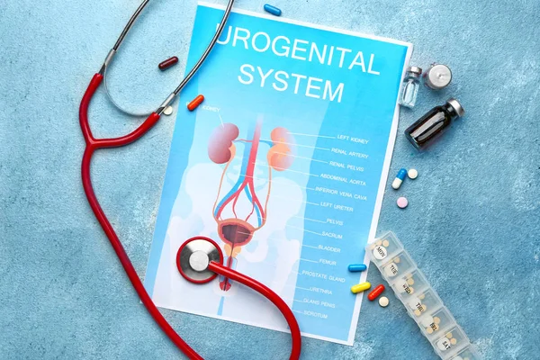 Hoja de papel con imagen del sistema urogenital, medicamentos y estetoscopio sobre fondo de color —  Fotos de Stock