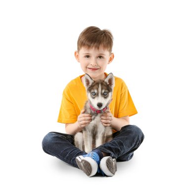 Beyaz arka planda sevimli, iri yapılı bir köpek yavrusu