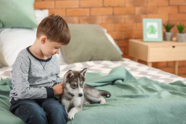 Yatak odasında şirin köpekli küçük bir çocuk.