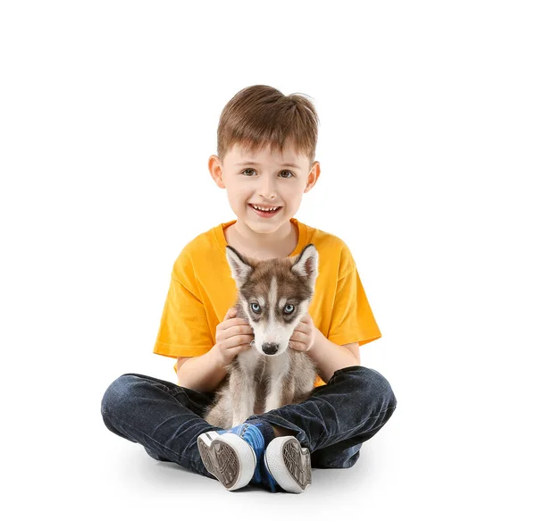 Menino com filhote de cachorro bonito husky no fundo branco — Fotografia de Stock