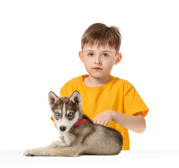 Menino com filhote de cachorro bonito husky no fundo branco — Fotografia de Stock