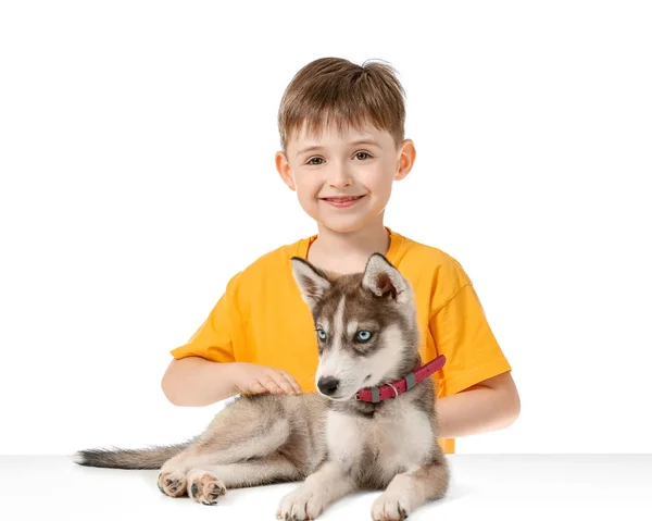 Menino com filhote de cachorro bonito husky no fundo branco — Fotografia de Stock